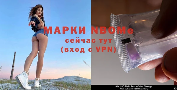 ПСИЛОЦИБИНОВЫЕ ГРИБЫ Козловка
