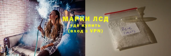 ПСИЛОЦИБИНОВЫЕ ГРИБЫ Козловка