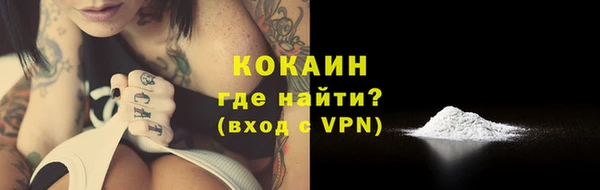 ПСИЛОЦИБИНОВЫЕ ГРИБЫ Козловка