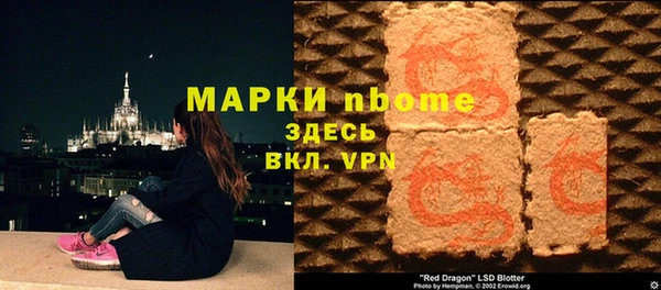 ПСИЛОЦИБИНОВЫЕ ГРИБЫ Козловка