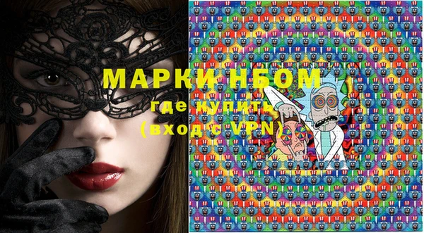 ПСИЛОЦИБИНОВЫЕ ГРИБЫ Козловка