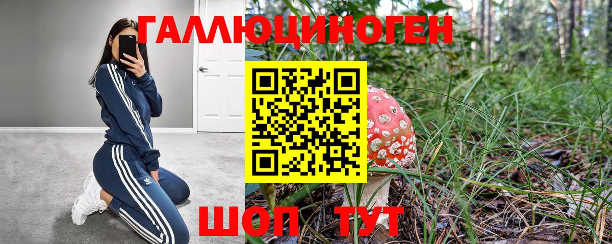 Псилоцибиновые грибы мухоморы Клин